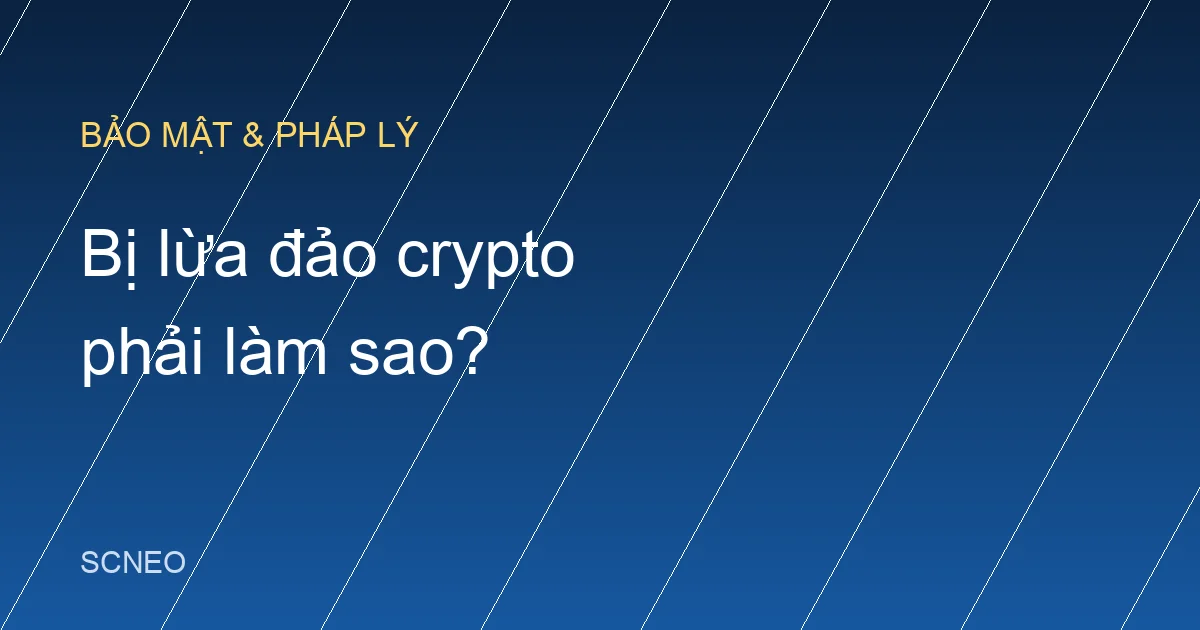 Bị lừa đảo crypto phải làm sao? 5 bước xử lý ngay